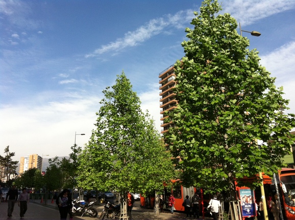 b0239641_74493.jpg