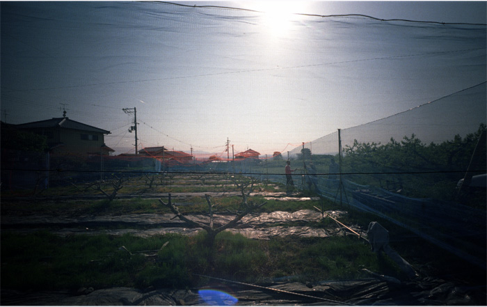 ♯28　2006年5月3日山辺の道　8-完-山辺の道は観光ルートじゃなくて、生活の道だった_c0333042_16353130.jpg