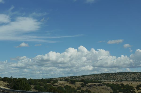 c0245349_1052752.jpg