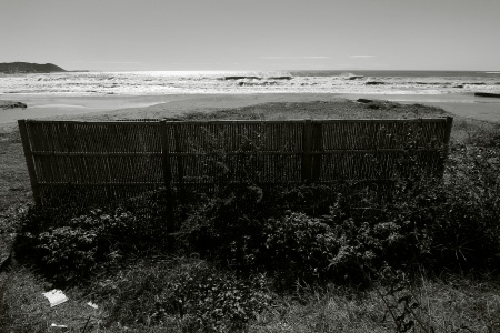 b0087456_91655100.jpg