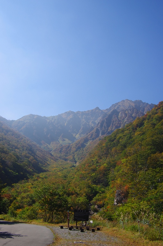 c0214259_83604.jpg