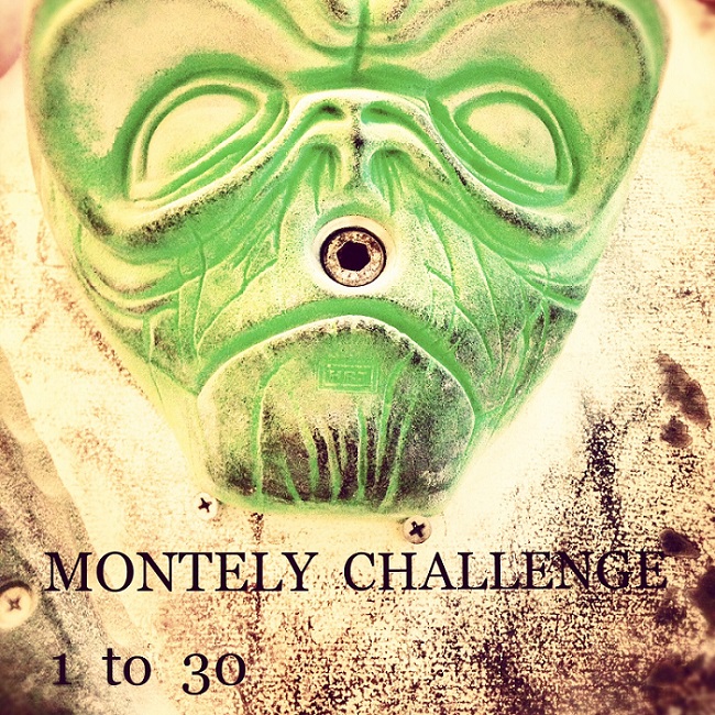 NEW MONTELY CHALLENGE!!_d0246875_16365709.jpg
