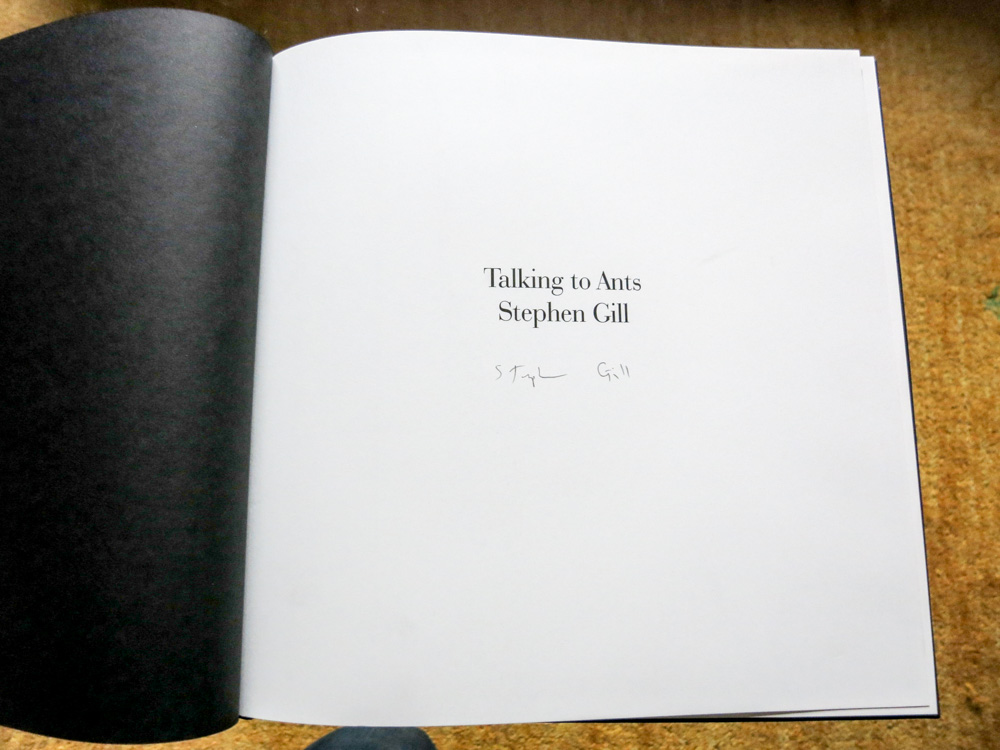 Stephen Gill 「Talking to ants」_c0016177_1345426.jpg