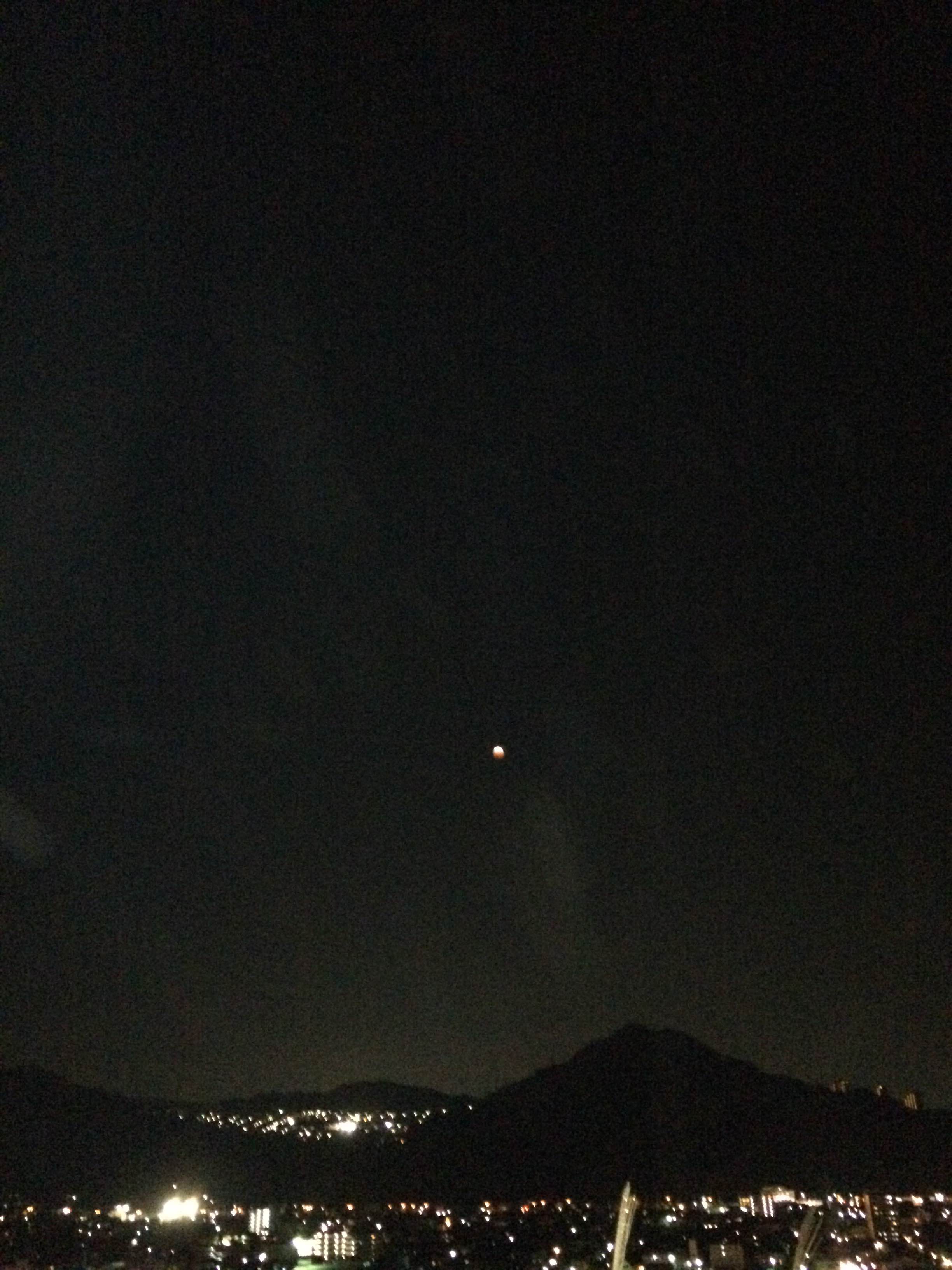 e0106479_20235655.jpg