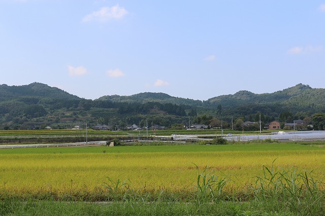 b0190092_21323320.jpg