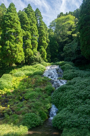 滝巡り～竹田市～_e0176993_6413017.jpg