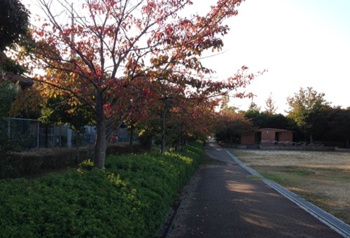 a0123003_2304862.jpg