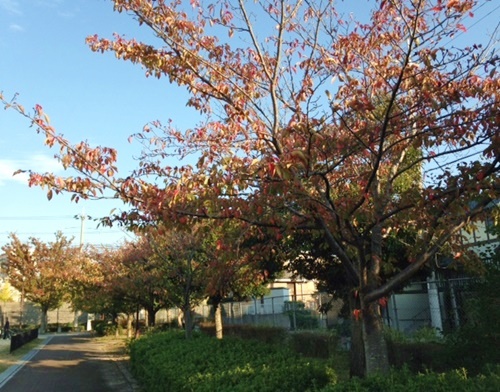 a0123003_2374367.jpg
