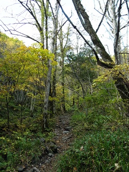 d0032405_2216766.jpg