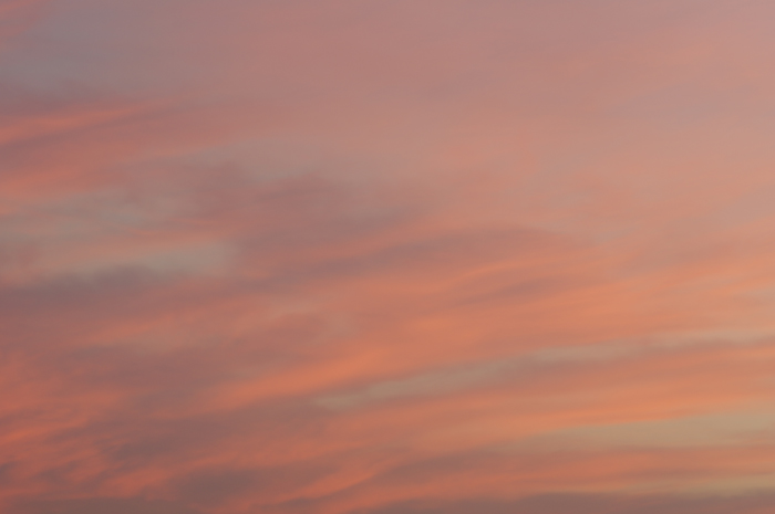 b0151409_2213364.jpg