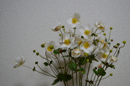 c0279611_1853544.jpg