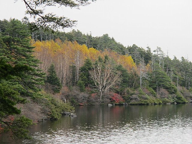 e0146513_19504247.jpg