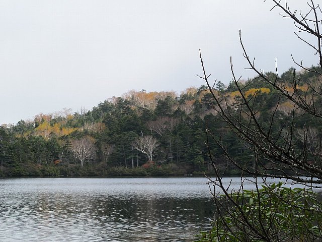 e0146513_19565520.jpg