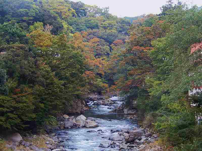 f0182513_21262745.jpg