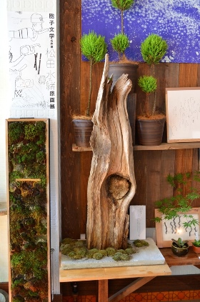 苔の箱庭ワークショップのご案内_d0263815_17144594.jpg