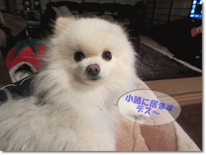 b0167519_2005482.gif