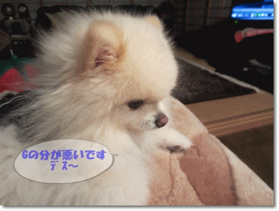 b0167519_2025377.gif