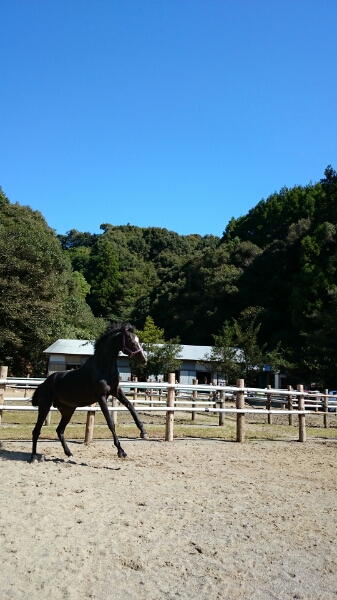 スタッフ募集中～！_b0187620_20341976.jpg