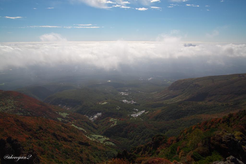 d0161322_22323191.jpg