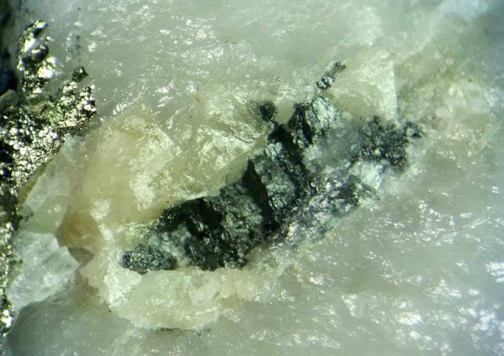 d0045626_20260419.jpg