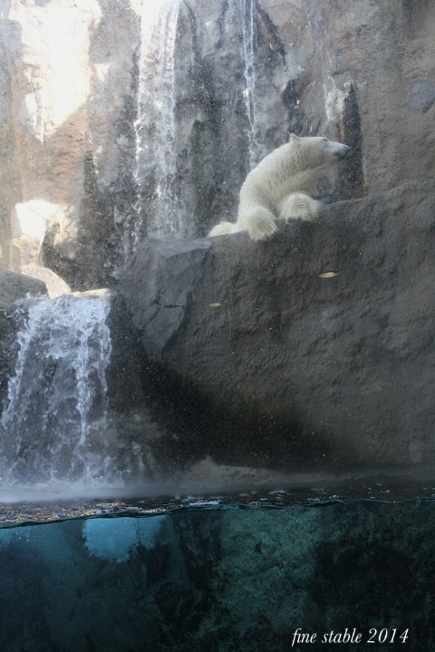 c0240132_62526.jpg