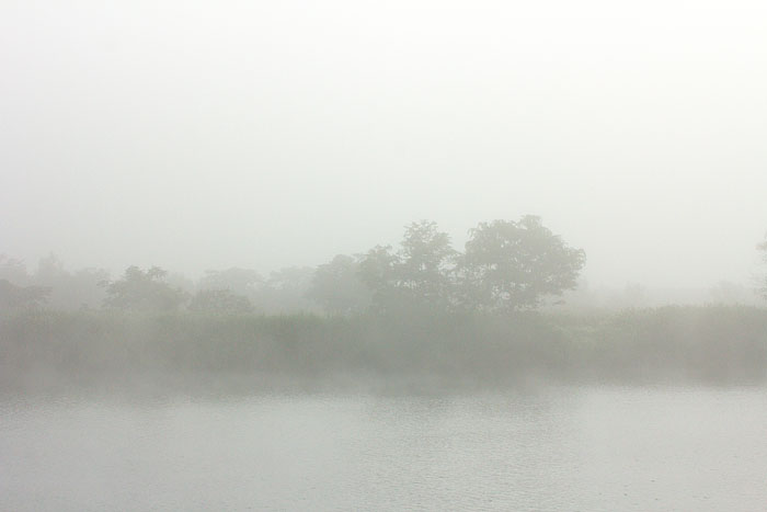 c0067040_23381191.jpg