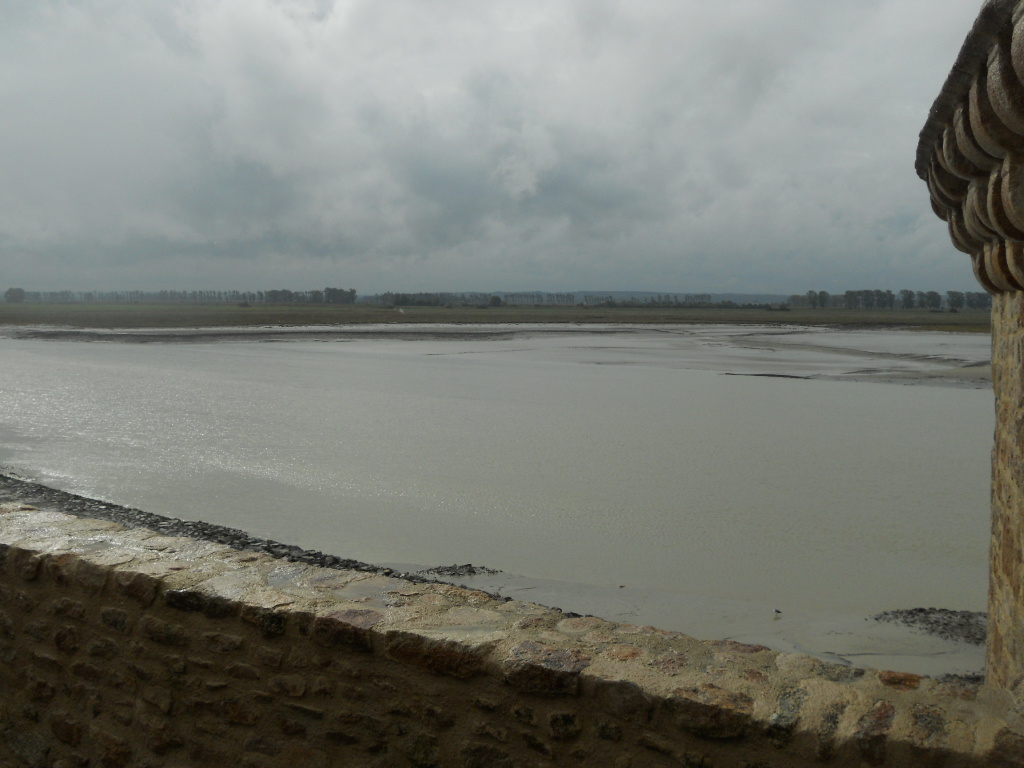 e0300042_6342225.jpg