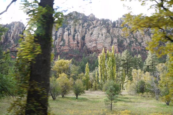 c0245349_8242961.jpg