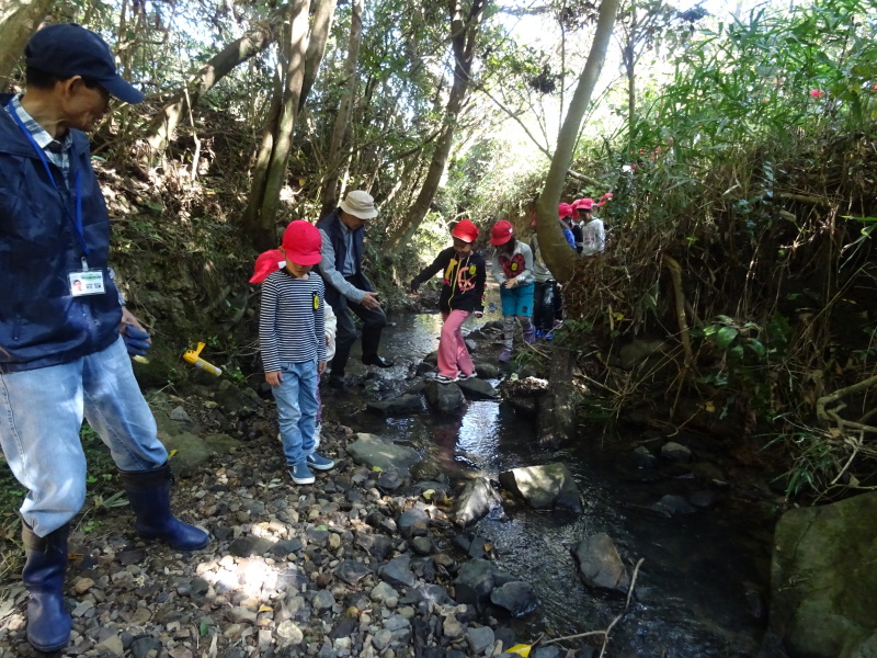 c0108460_17550121.jpg