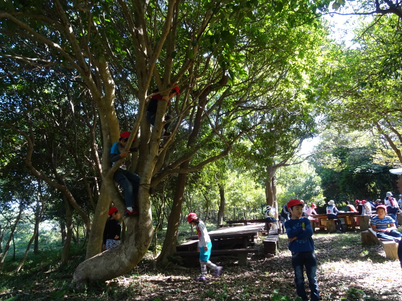 c0108460_18225467.jpg