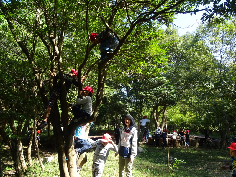 c0108460_18225696.jpg