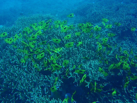海の前も、あとも、楽しい。_b0141773_22514966.jpg