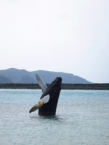 海の前も、あとも、楽しい。_b0141773_22521195.jpg