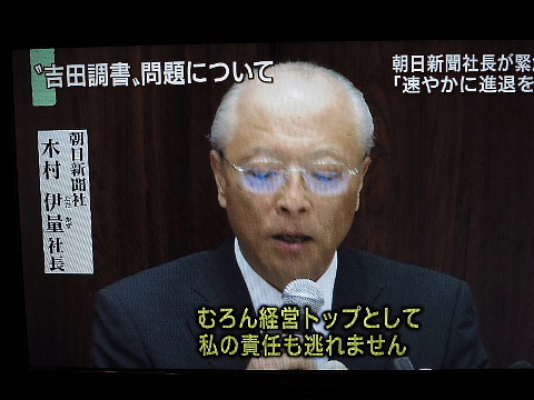 海の前も、あとも、楽しい。_b0141773_23113743.jpg
