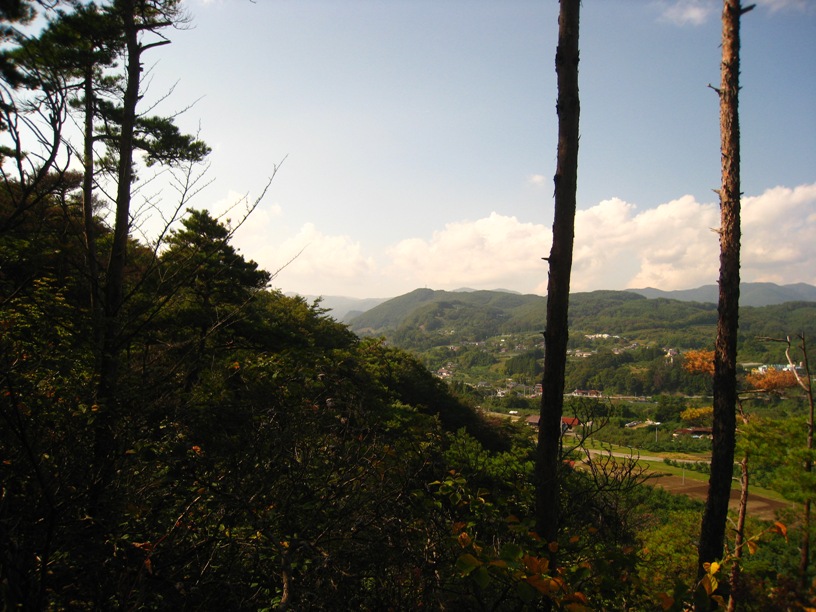 a0087378_6312240.jpg