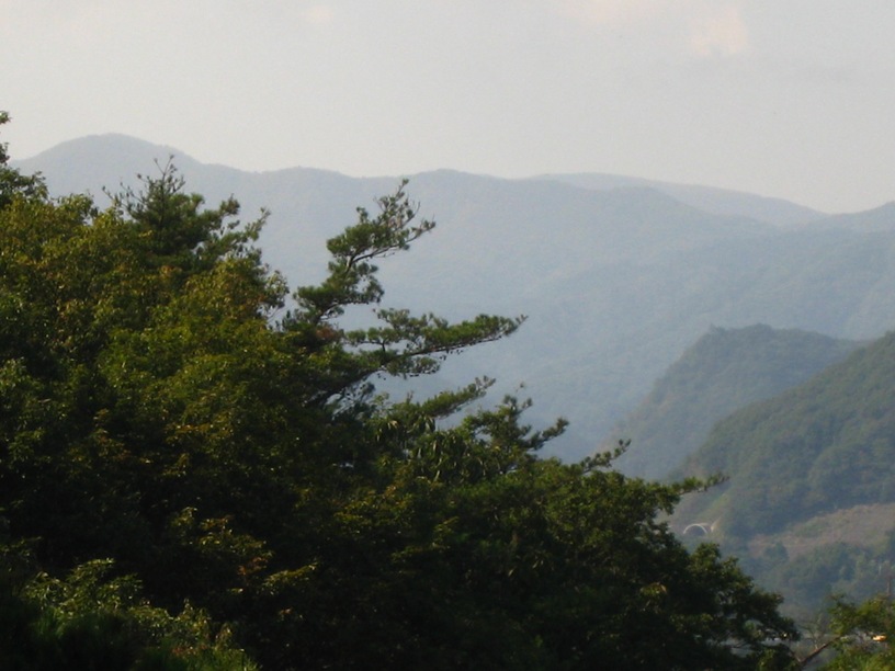 a0087378_6423694.jpg