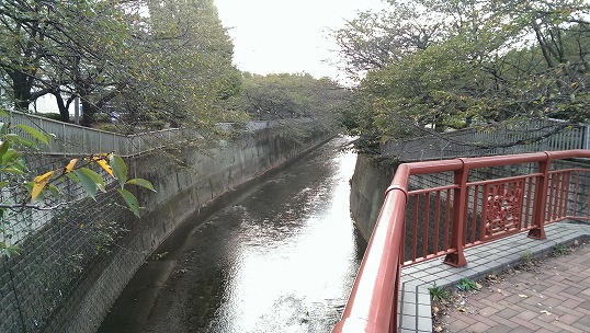 e0020682_20471726.jpg