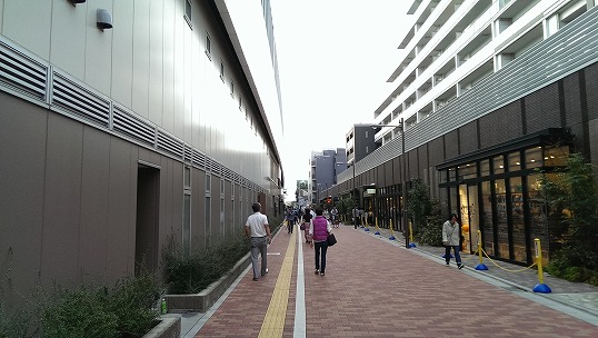 e0020682_2052635.jpg