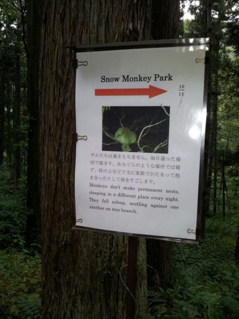 秘湯の旅（渋温泉、白骨温泉）・上林（かんばやし）温泉・地獄谷温泉も通り過ぎましたよ_a0290385_13005254.jpg