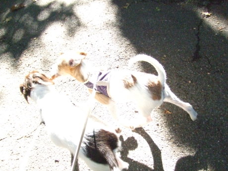 c0253487_02525629.jpg