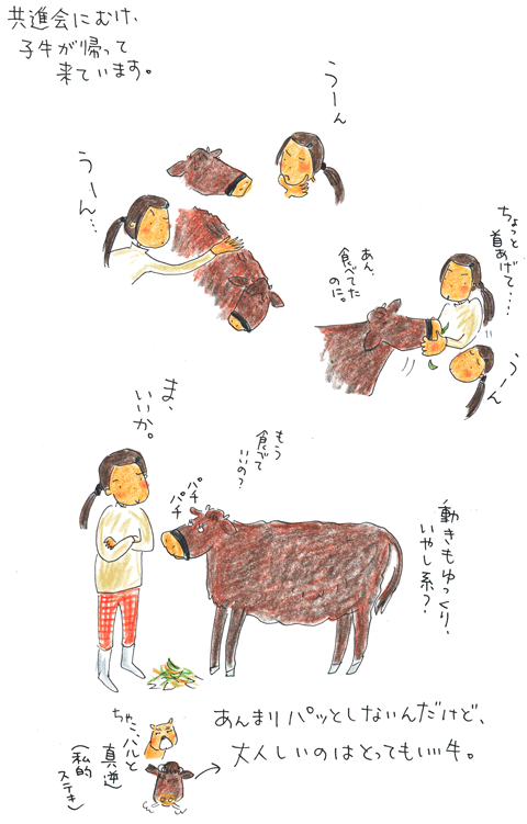子牛たちの季節(評価編)_f0236291_11341047.gif