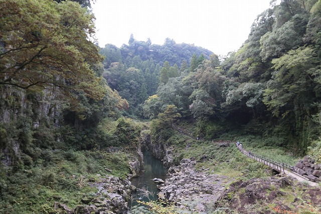 b0190092_205658.jpg