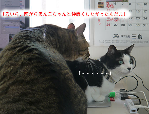 日本猫エレキテル連合_d0071596_1931335.jpg