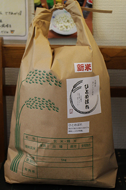 明日(18日)はオトメゴコロさんのおむすび販売日です_e0205196_15395819.jpg
