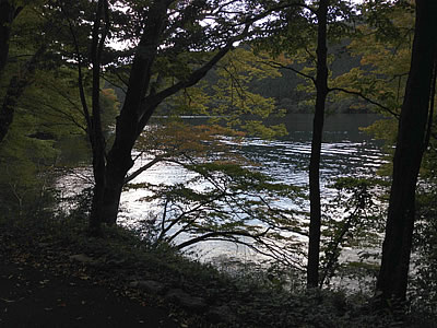 d0207298_90391.jpg