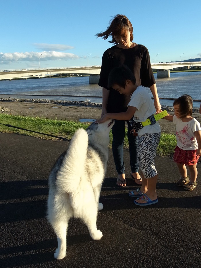 すてきな台風一過 (*^_^*)_c0049299_22244140.jpg