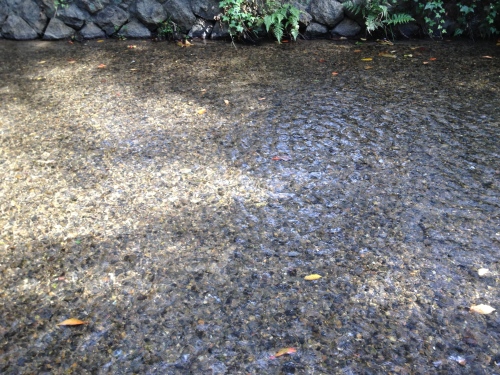 f0351299_13245050.jpg