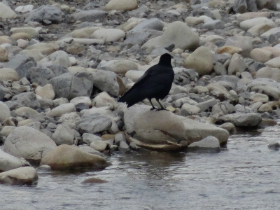 c0125501_1120447.jpg