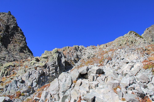 a0158702_1573399.jpg