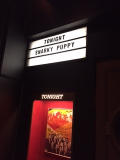 SNARKY PUPPY!!_b0239506_9135855.jpg